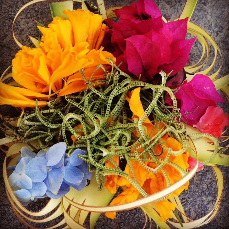 offrandes à la balinaise