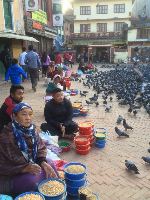 Vendeurs de maïs et pigeons sur la place du stupa, Boudhanath