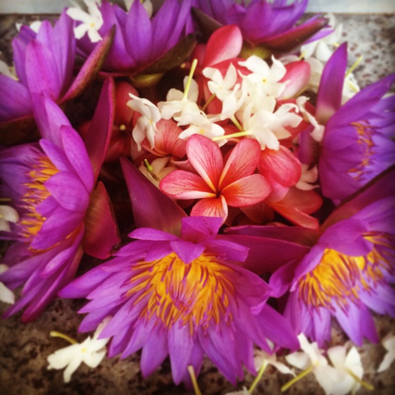 Cérémonial de fleurs en son honneur au Sri Lanka
