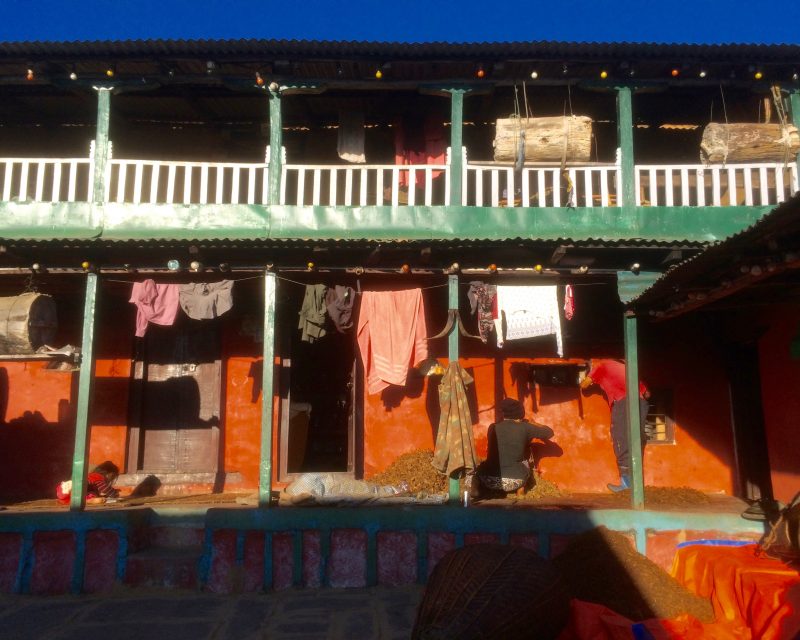 Confection du vin de millet dans un village de l'Himalaya, Nepal